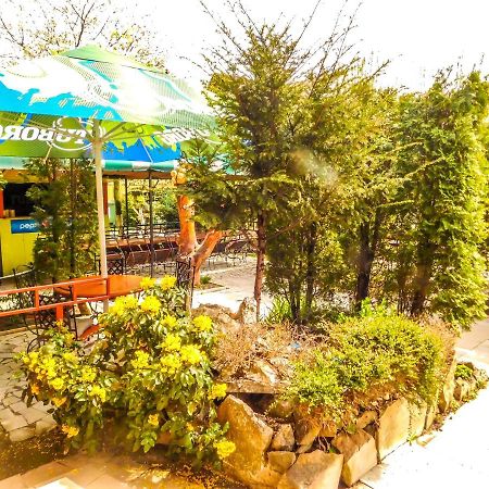 克卢日-纳波卡 维拉欧罗巴旅馆酒店 外观 照片